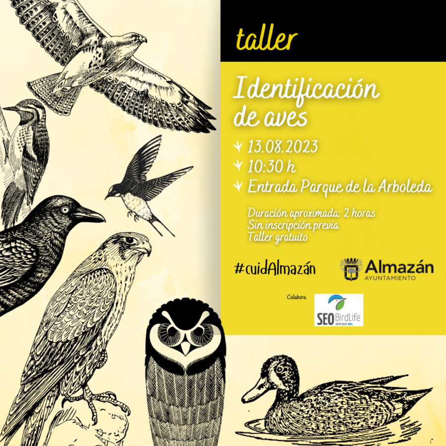 Aves en Almazn