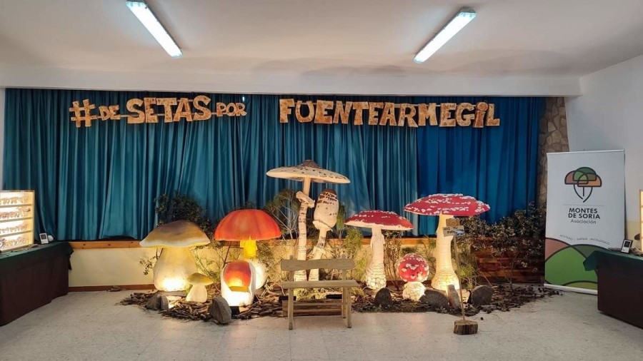 Mycological Summer Tour en Fuentearmegil