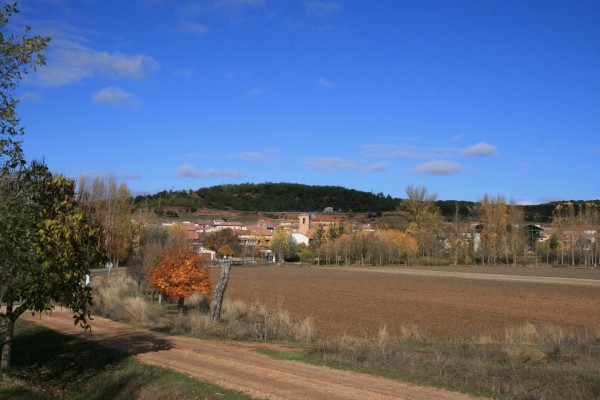 Alcubilla de Avellaneda